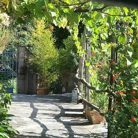 Barberi Strettoia