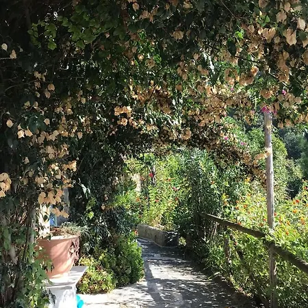 Barberi * Strettoia